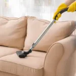 Sofa cleaning
